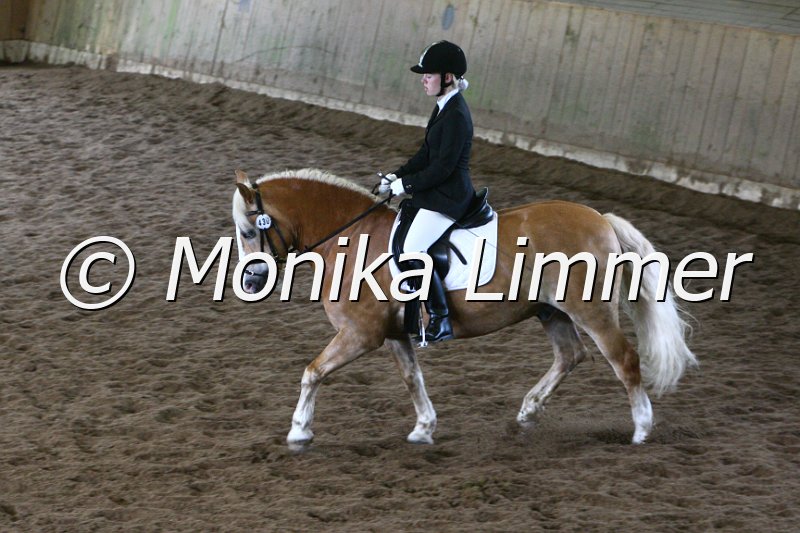 006M4400_Dressur E.JPG